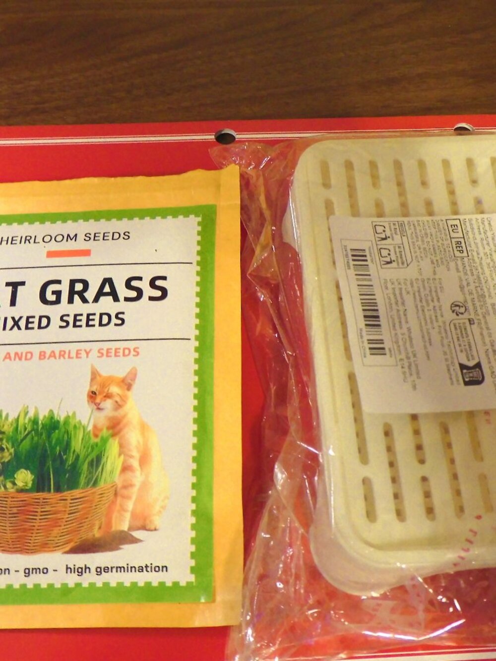 3 PACKETS of CAT GRASS SEED with GROWING CONTAINER